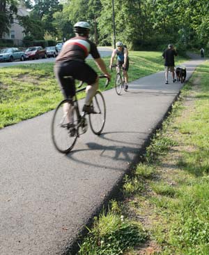 riders and dog walker on trail